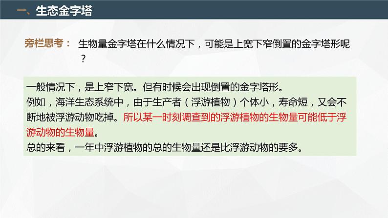 3.2.2 生态系统的能量流动(第2课时 生态金字塔和研究能量流动的实践意义)(名师精讲课件)-2023-2024学年高二生物同步精品课件(人教版选择性必修第二册)04