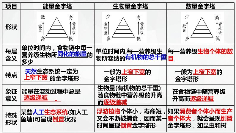 3.2.2 生态系统的能量流动(第2课时 生态金字塔和研究能量流动的实践意义)(名师精讲课件)-2023-2024学年高二生物同步精品课件(人教版选择性必修第二册)06