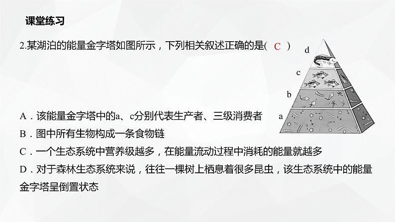 3.2.2 生态系统的能量流动(第2课时 生态金字塔和研究能量流动的实践意义)(名师精讲课件)-2023-2024学年高二生物同步精品课件(人教版选择性必修第二册)08