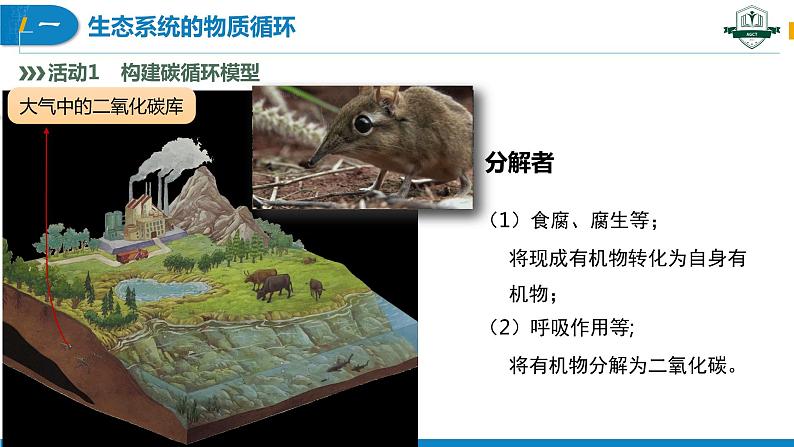 3.3.1 生态系统的物质循环(第1课时)(名师精讲课件)-2023-2024学年高二生物同步精品课件(人教版选择性必修第二册)第8页