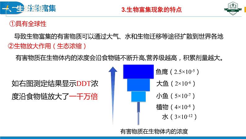 3.3.2 生态系统的物质循环(第2课时)(名师精讲课件)-2023-2024学年高二生物同步精品课件(人教版选择性必修第二册)第8页