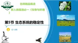 3.5 生态系统的稳定性（名师精讲课件）-2023-2024学年高二生物同步精品课件（人教版选择性必修第二册）