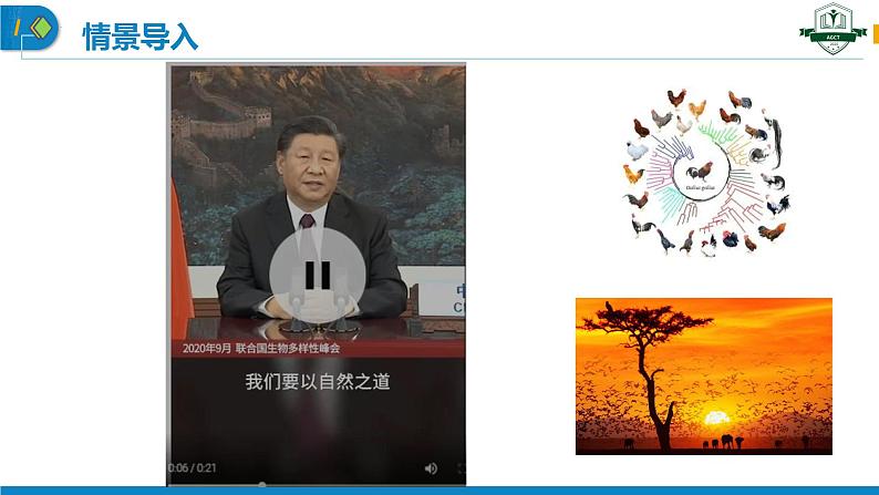 4.2 生物多样性及其保护(名师精讲课件)-2023-2024学年高二生物同步精品课件(人教版选择性必修第二册)第2页