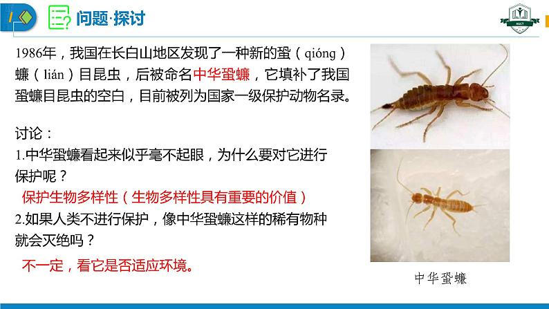 4.2 生物多样性及其保护(名师精讲课件)-2023-2024学年高二生物同步精品课件(人教版选择性必修第二册)第3页