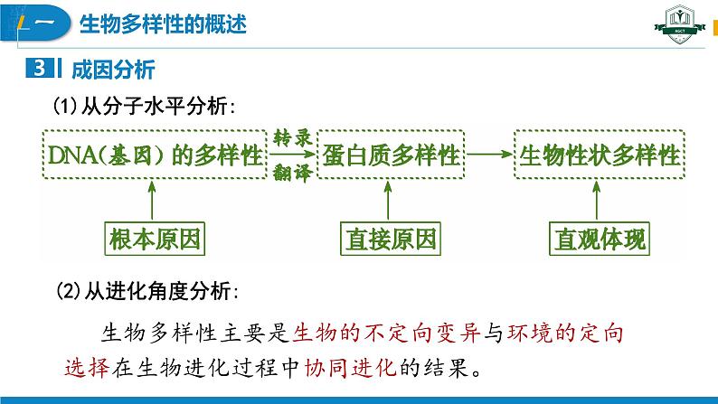 4.2 生物多样性及其保护(名师精讲课件)-2023-2024学年高二生物同步精品课件(人教版选择性必修第二册)第7页