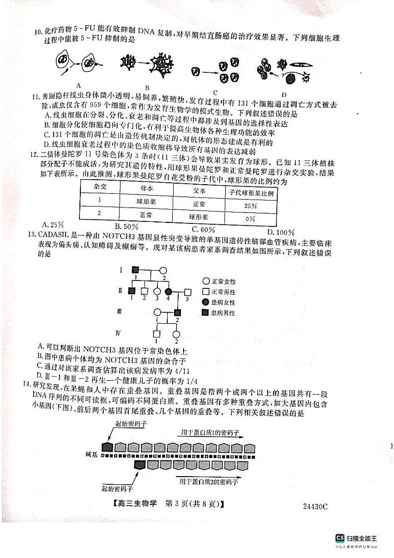 2024届陕西省铜川市高三上学期第一次模拟考试生物试题03