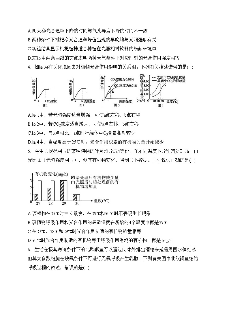 南阳市第一中学校2024届高三上学期第三次月考生物试卷(含答案)02