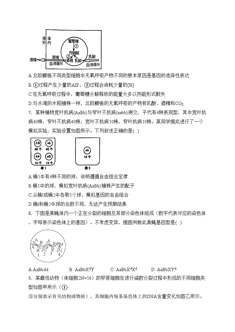 南阳市第一中学校2024届高三上学期第三次月考生物试卷(含答案)03