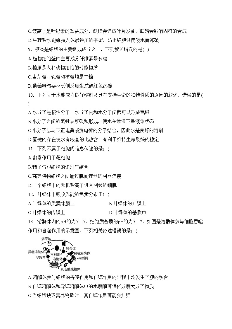 四川省兴文第二中学校2023-2024学年高一上学期第三学月考试生物试卷(含答案)第2页