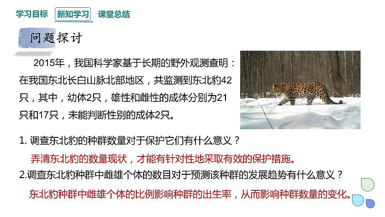 1.1 课时1 种群的数量特征 课件 2023-2024学年高二生物人教版(2019)选择性必修2第6页