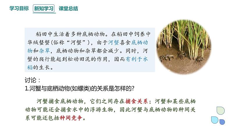 2.1 课时1 群落的结构 课件 2023-2024学年高二生物人教版(2019)选择性必修2第3页