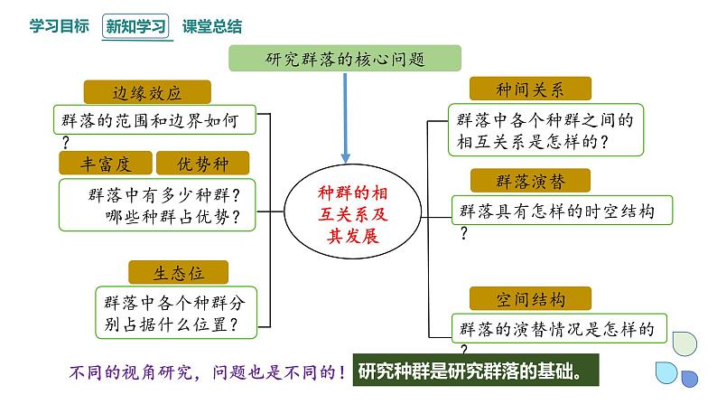 2.1 课时1 群落的结构 课件 2023-2024学年高二生物人教版(2019)选择性必修2第6页