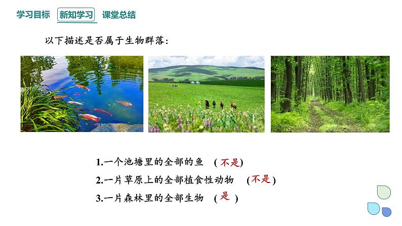 2.1 课时1 群落的结构 课件 2023-2024学年高二生物人教版(2019)选择性必修2第8页