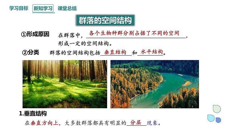 2.1 课时2 群落的结构 课件 2023-2024学年高二生物人教版(2019)选择性必修2第3页