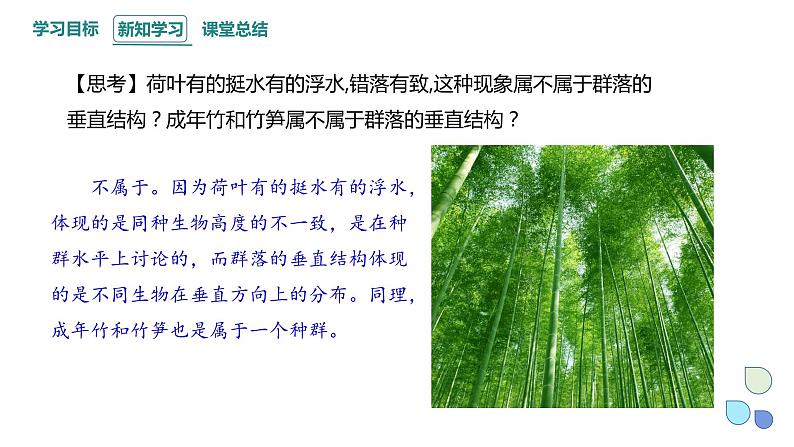 2.1 课时2 群落的结构 课件 2023-2024学年高二生物人教版(2019)选择性必修2第8页