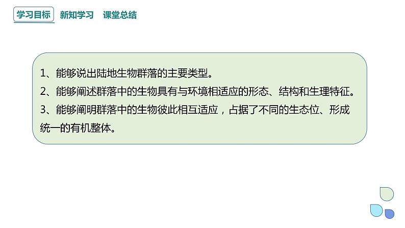 2.2 群落的主要类型 课件 2023-2024学年高二生物人教版(2019)选择性必修2第2页