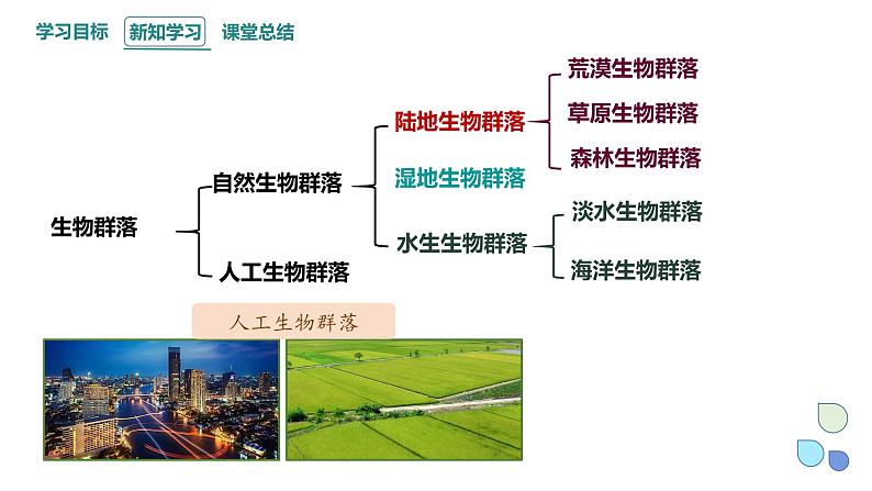2.2 群落的主要类型 课件 2023-2024学年高二生物人教版(2019)选择性必修2第6页