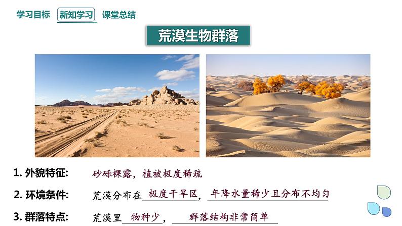 2.2 群落的主要类型 课件 2023-2024学年高二生物人教版(2019)选择性必修2第7页