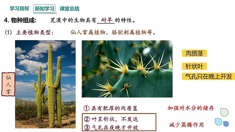 2.2 群落的主要类型 课件 2023-2024学年高二生物人教版(2019)选择性必修2第8页