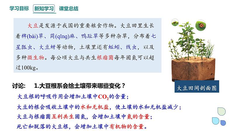 3.1 生态系统的结构 课件 2023-2024学年高二生物人教版(2019)选择性必修2第3页