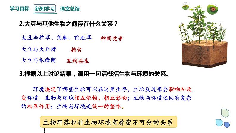 3.1 生态系统的结构 课件 2023-2024学年高二生物人教版(2019)选择性必修2第4页