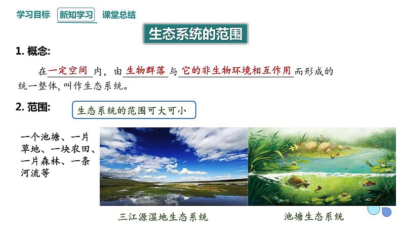 3.1 生态系统的结构 课件 2023-2024学年高二生物人教版(2019)选择性必修2第5页