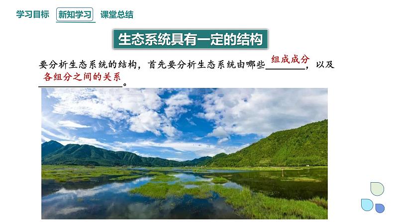 3.1 生态系统的结构 课件 2023-2024学年高二生物人教版(2019)选择性必修2第8页