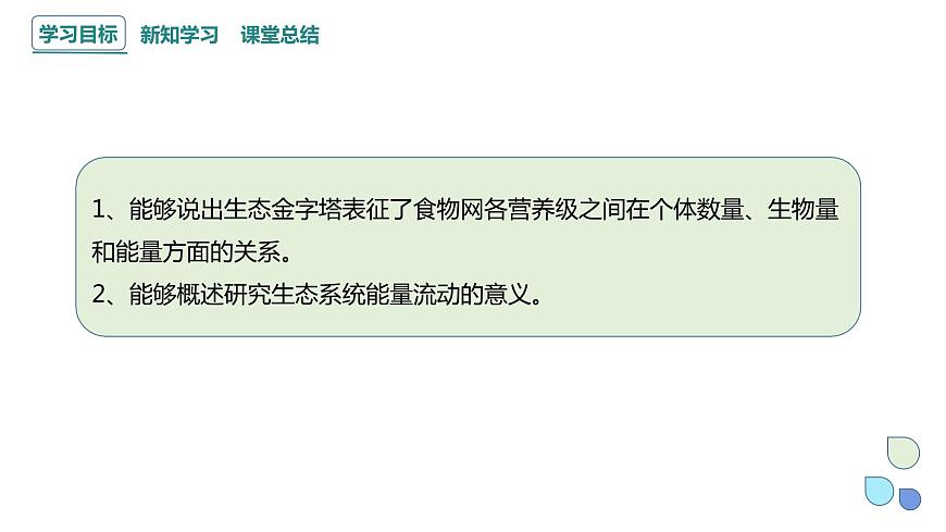 3.2 課時2  生態(tài)系統(tǒng)的能量流動    課件 2023-2024學(xué)年高二生物人教版（2019）選擇性必修2第2頁