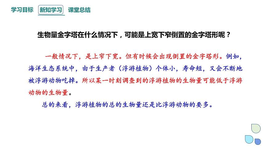 3.2 課時2  生態(tài)系統(tǒng)的能量流動    課件 2023-2024學(xué)年高二生物人教版（2019）選擇性必修2第6頁