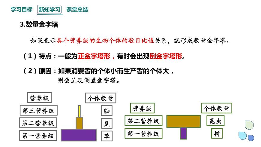 3.2 課時2  生態(tài)系統(tǒng)的能量流動    課件 2023-2024學(xué)年高二生物人教版（2019）選擇性必修2第7頁