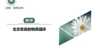 高中生物人教版 (2019)选择性必修2第3节 生态系统的物质循环备课ppt课件