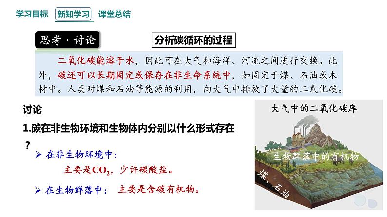 3.3 生态系统的物质循环 课件 2023-2024学年高二生物人教版(2019)选择性必修2第6页