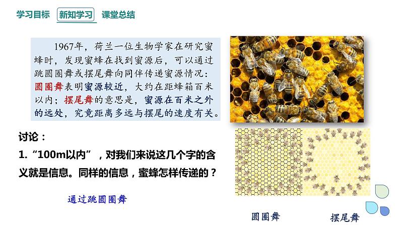 3.4 生态系统的信息传递 课件 2023-2024学年高二生物人教版(2019)选择性必修2第3页
