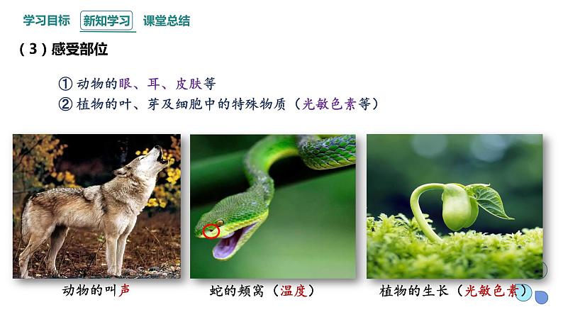 3.4 生态系统的信息传递 课件 2023-2024学年高二生物人教版(2019)选择性必修2第6页