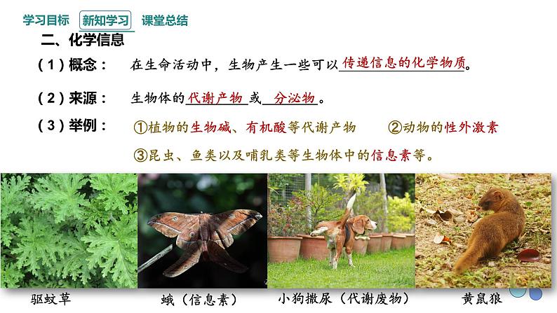 3.4 生态系统的信息传递 课件 2023-2024学年高二生物人教版(2019)选择性必修2第7页