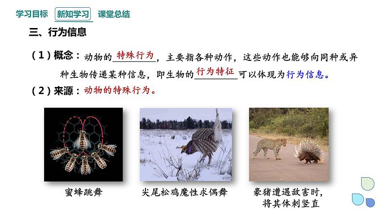 3.4 生态系统的信息传递 课件 2023-2024学年高二生物人教版(2019)选择性必修2第8页