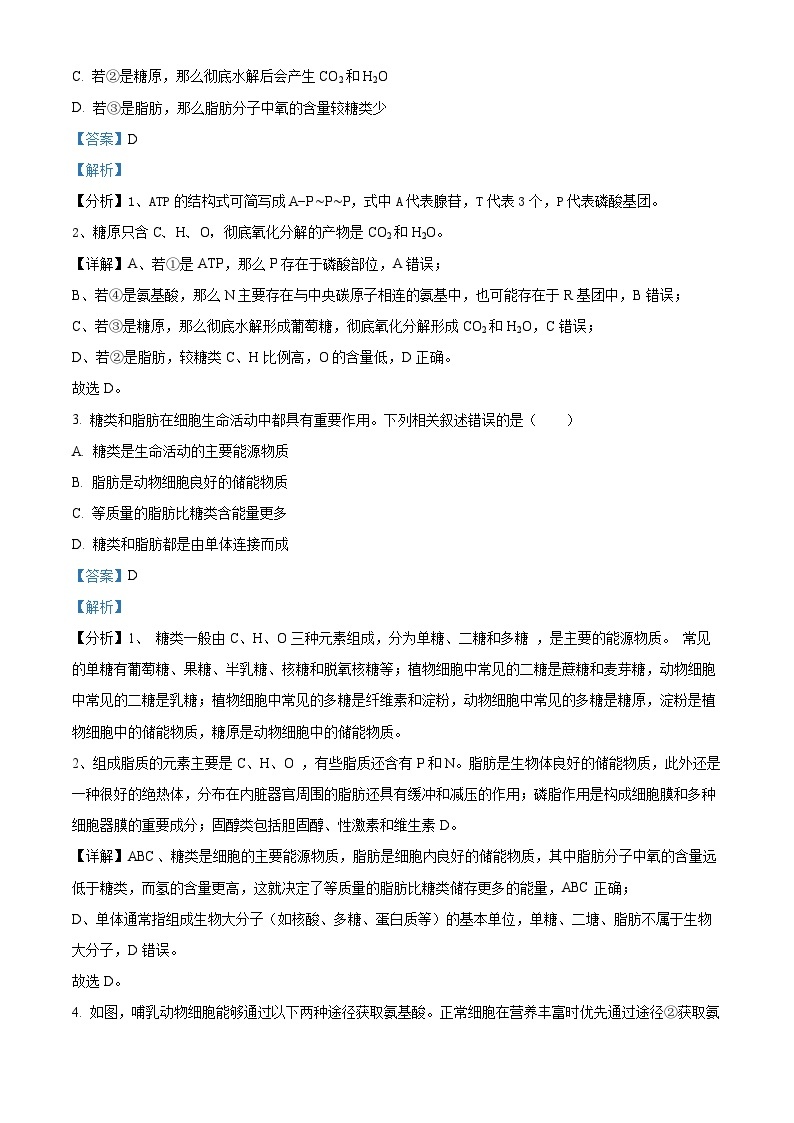 福建省龙岩市新罗区一中2023-2024学年高一上学期第三次月考生物试题（Word版附解析）02