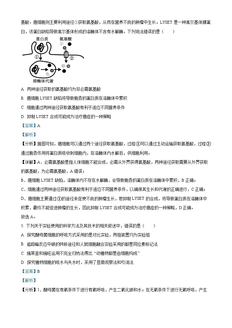 福建省龙岩市新罗区一中2023-2024学年高一上学期第三次月考生物试题（Word版附解析）03