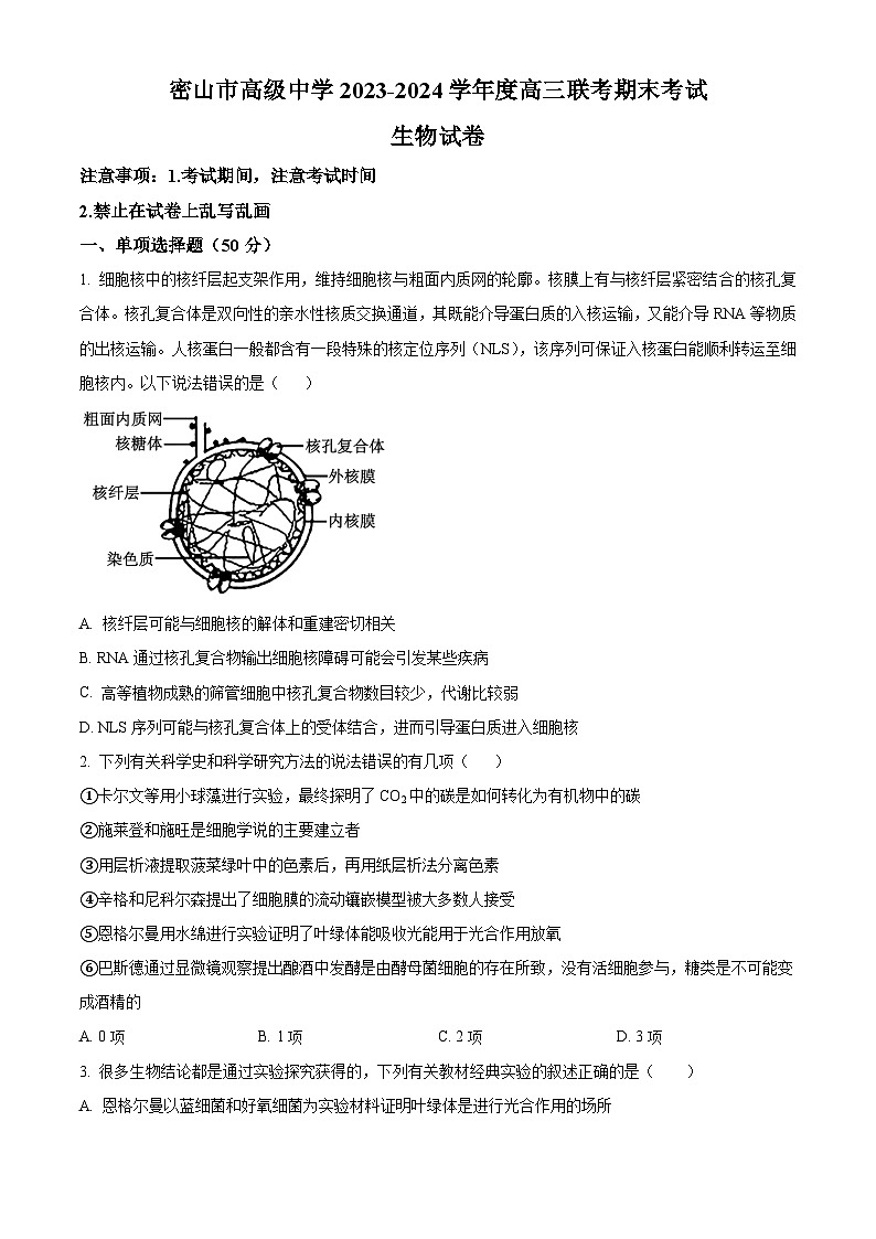 2024省鸡西密山高级中学高三上学期1月期末考试生物含解析第1页
