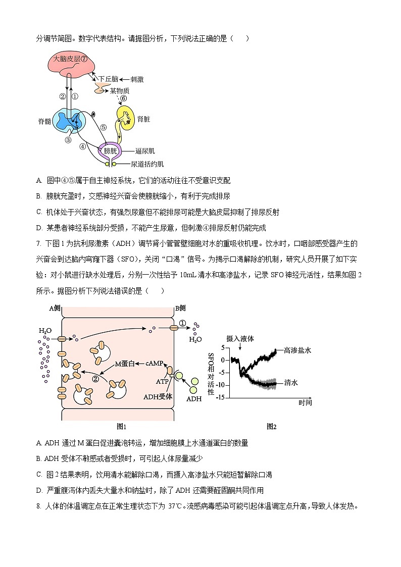 安徽省淮北市一中2023-2024学年高二上学期第三次月考生物试题无答案第3页