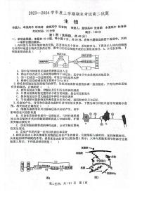 2024辽宁省部分高中高二上学期期末考试生物PDF版含解析