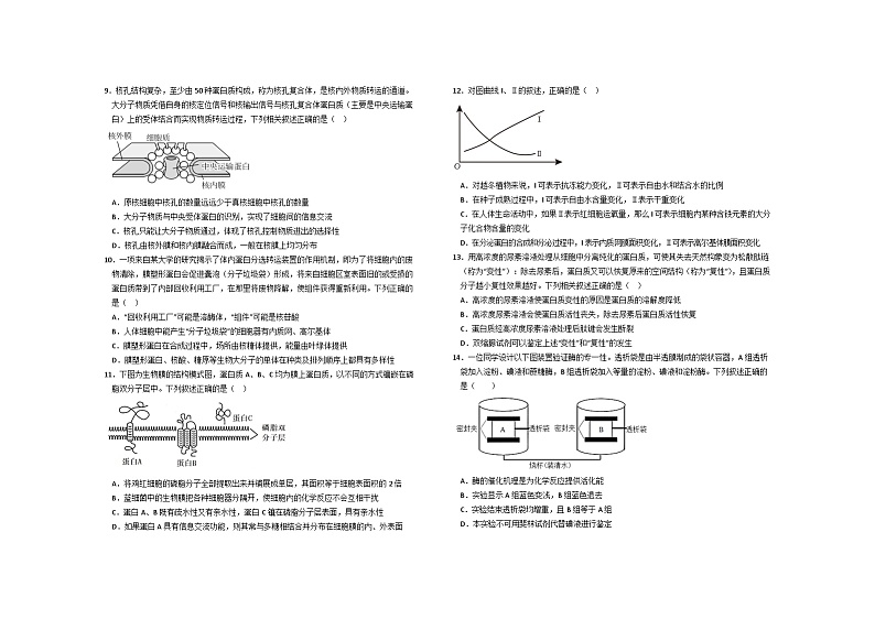 河南省鹤壁市2023-2024学年高一上学期第三次段考生物试题(Word版附答案)02