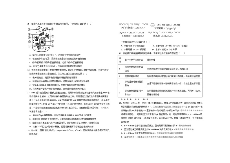 河南省鹤壁市2023-2024学年高一上学期第三次段考生物试题（Word版附答案）03