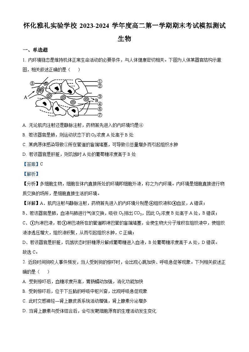 湖南省怀化市雅礼实验学校2023-2024学年高二上学期期末模拟生物试题(Word版附解析)01
