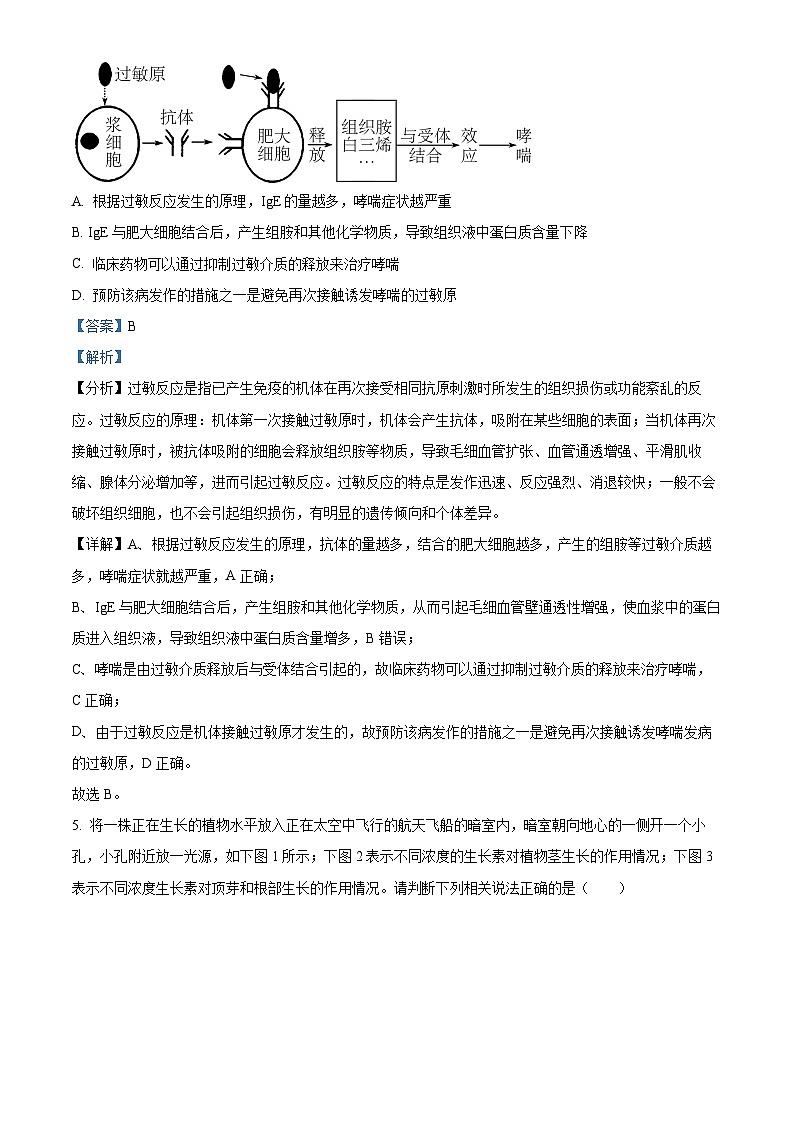湖南省怀化市雅礼实验学校2023-2024学年高二上学期期末模拟生物试题(Word版附解析)03