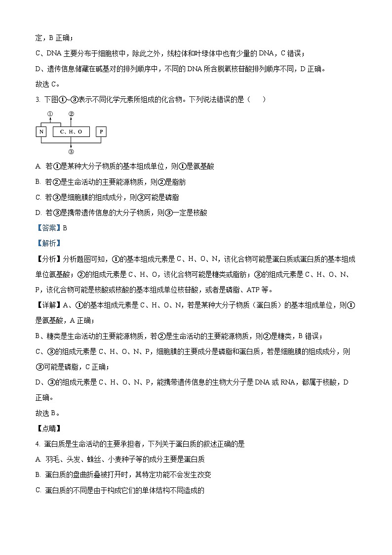 湖南省怀化市雅礼实验学校2023-2024学年高一上学期期末第二次模拟考试生物试题(Word版附解析)02