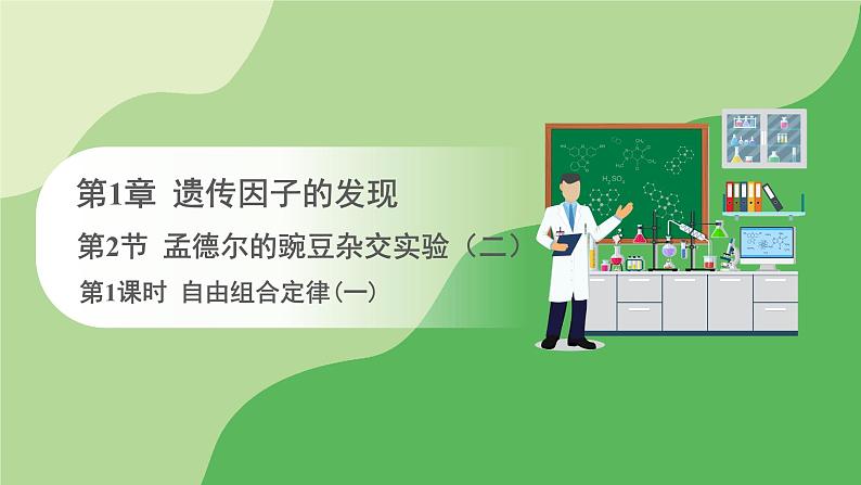 人教版高中生物必修第二册 遗传与进化 第1章 第2节 第1课时 自由组合定律(一)(课件)第1页