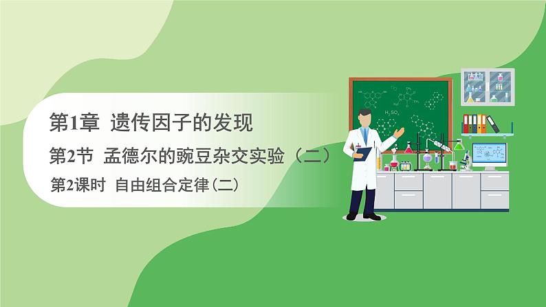 人教版高中生物必修第二册 遗传与进化 第1章 第2节 第2课时 自由组合定律(二)(课件)第1页