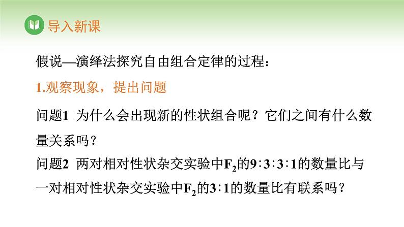 人教版高中生物必修第二册 遗传与进化 第1章 第2节 第2课时 自由组合定律(二)(课件)第2页