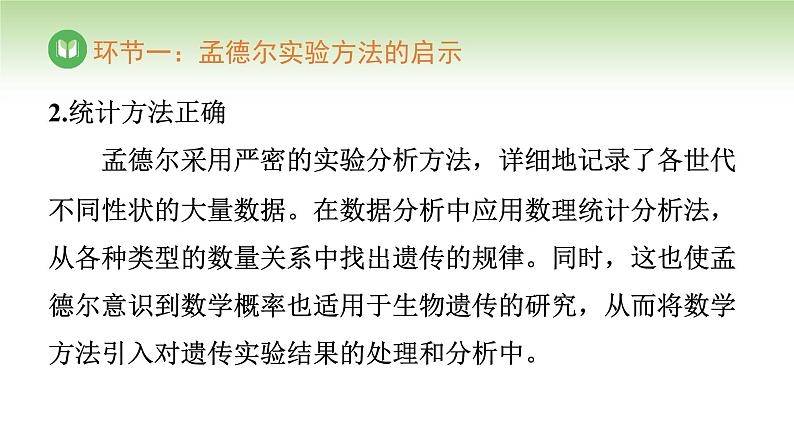 人教版高中生物必修第二册 遗传与进化 第1章 第2节 第2课时 自由组合定律(二)(课件)第8页